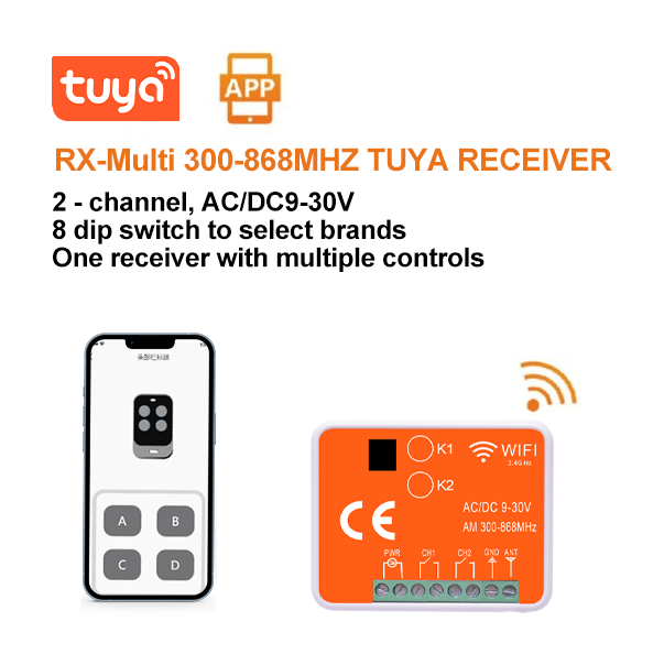 Gate dual-channel receiver
